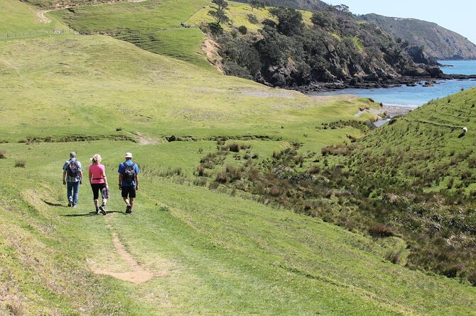 Coromandel Coastal Walkway: Full-Day Hike and Bike Tour - Meeting and Departure Details