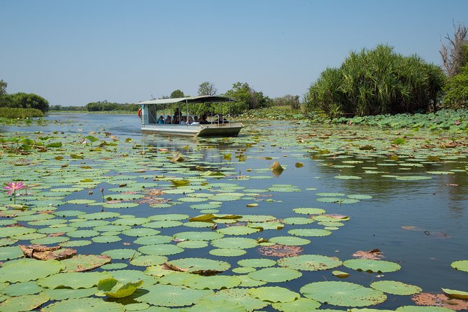 Corroboree Billabong Wetland Cruises - 2 Hour Sunset Cruise - Customer Feedback and Ratings