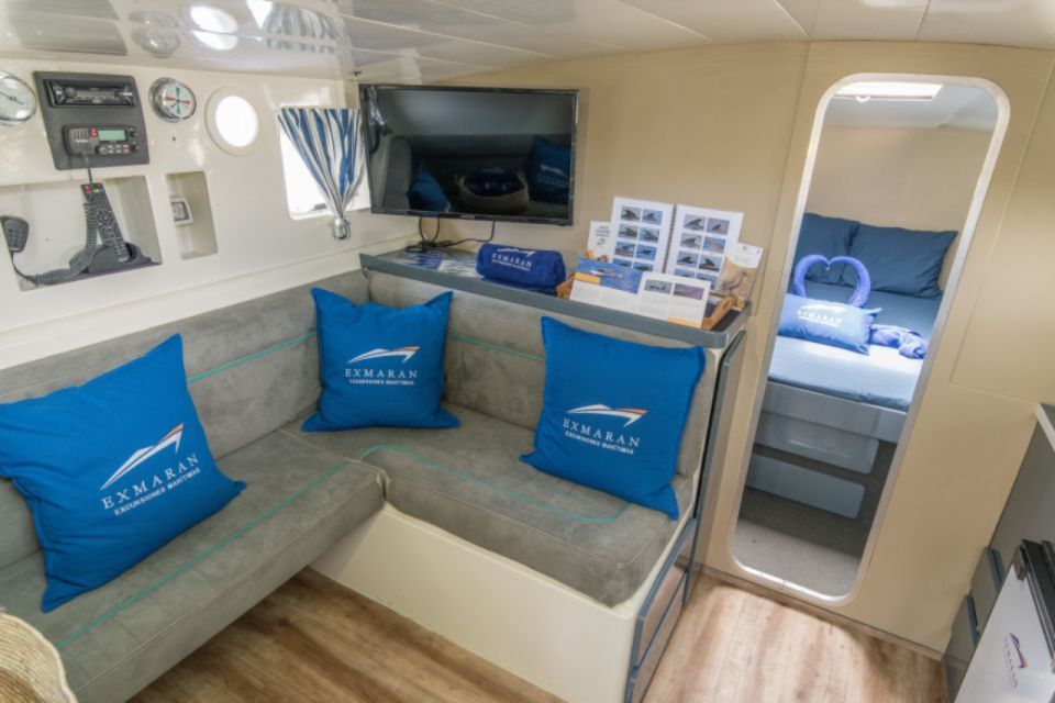 Costa Adeje: Private Whale and Dolphin Watching Tour - Starting Location and Languages