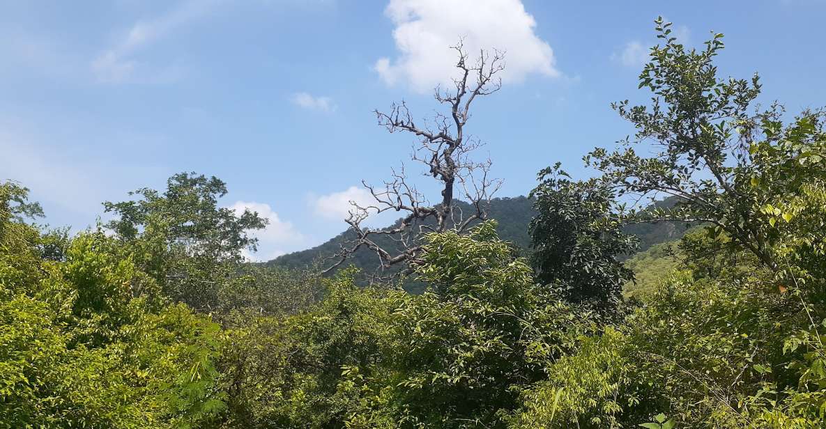 Countryside Arawali Hills Hiking Tour - Itinerary Details