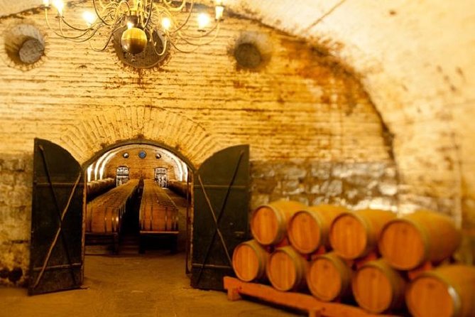 Cousino Macul and Concha Y Toro Wineries Day Trip From Santiago - Pricing and Inclusions