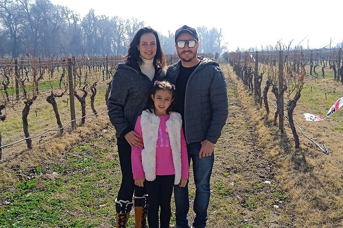 Cousiño Macul Vineyard - Maipo Valley - Premium Tasting - HD - Tour Duration and Logistics