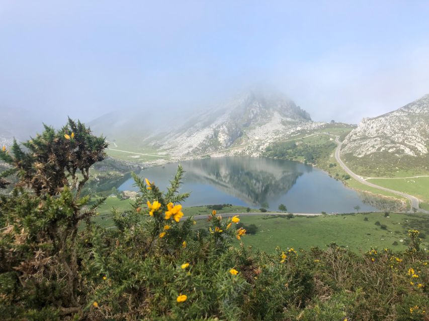 Covadonga and Lakes and Occidental Coast Private Tour - Pricing and Inclusions