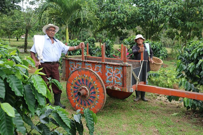 Craft Specialty Coffee and Chocolate Tour at North Fields, La Fortuna Costa Rica - Itinerary and Activities
