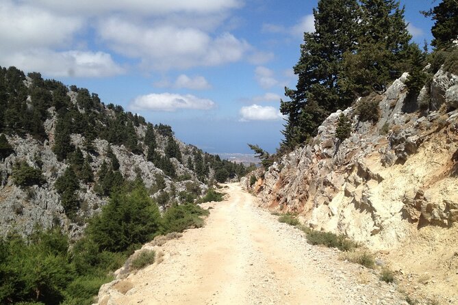 Crete White Mountains Safari Including Lunch - Whats Included in the Safari