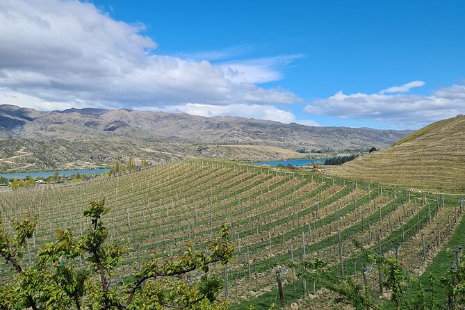 Cromwell Wine Tasting Tour Using Classic Car - Itinerary and Schedule