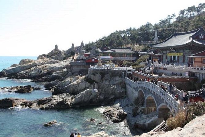 Cruise Layover : Small Group Busan Essential Tour - Tour Experience Highlights
