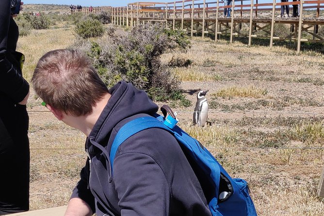Cruise Shore Excursion Punta Tombo - Tickets Included - Puerto Madryn Patagonia - Travel Tips and Recommendations