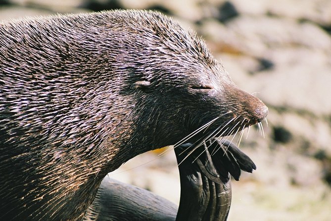 Cruise, Walk, and Sail in Abel Tasman National Park - Meeting and Ending Points