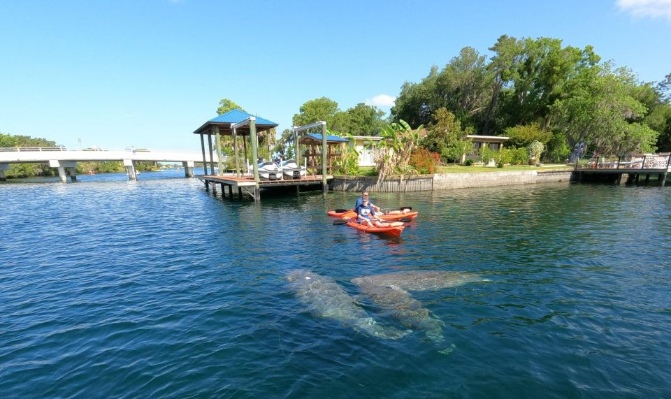 Crystal River: Kayak Rental - Whats Included