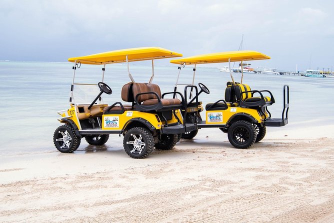 C&S (4 Seater) Golf Cart Rentals - Customer Feedback and Testimonials