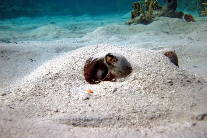 Culebra Island Snorkel and Turtle Adventure With Ferry Transport - Flamenco Beach Relaxation