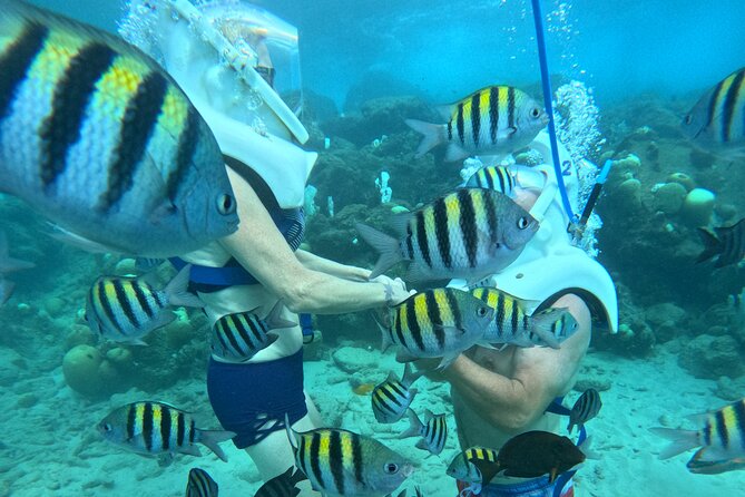 Curacao Guided Underwater Walking Tour No Swimming Skills Needed - Pickup and Dropoff