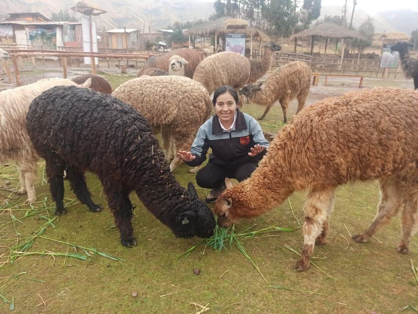 Cusco: City Tour Photography Experience - Itinerary Highlights
