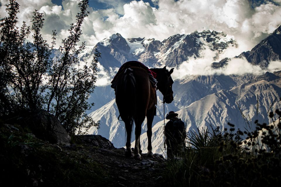 Cusco: Horseback Riding Trek to Machu Picchu 5 Days - Cultural Immersion Experience