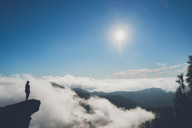 Custom Private & VIP Highlights Tour of Gran Canaria - Customer Experiences and Testimonials