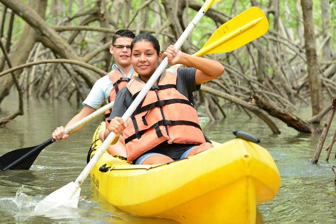 Damas Island Mangrove Kayaking Tour From Manuel Antonio - Amenities Included