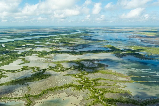 Darwin to Kakadu Day Trip by Air Including Yellow Water Cruise - Yellow Water Cruise Highlights