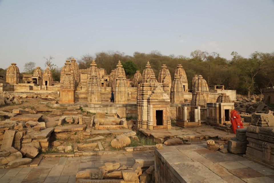 Day Excursion From Agra (Chambal Boat Safari) - Wildlife Experiences