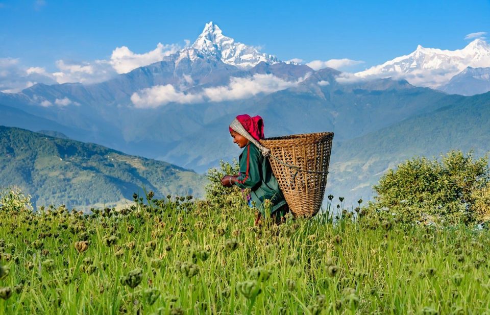Day Hike at Annapurna Foothills - Inclusions and Exclusions