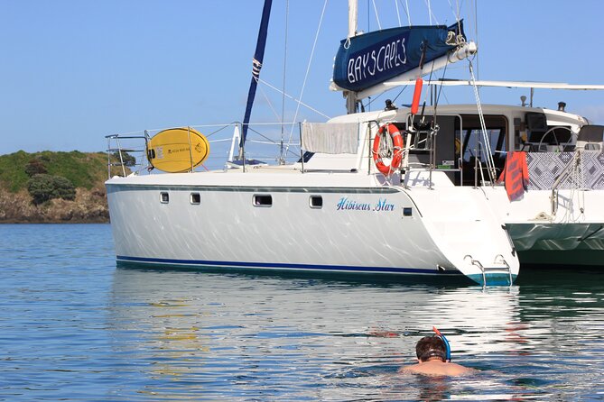 Day Sailing Catamaran Charter With Island Stop and Lunch - Inclusions and Amenities