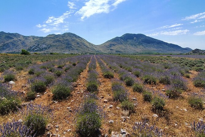 Day Tour of Theth From Tirana - Highlights of Theth National Park