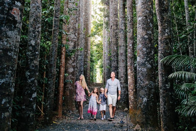 Day Tour to Paronella Park, Lake Barrine and Millaa Millaa Falls - Pricing Details