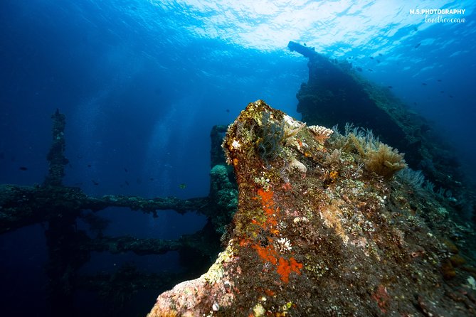 Day Trip Certified Divers - 3 Dives in Tulamben (Pick-Up & Drop-Off Included) - Pick-up and Drop-off