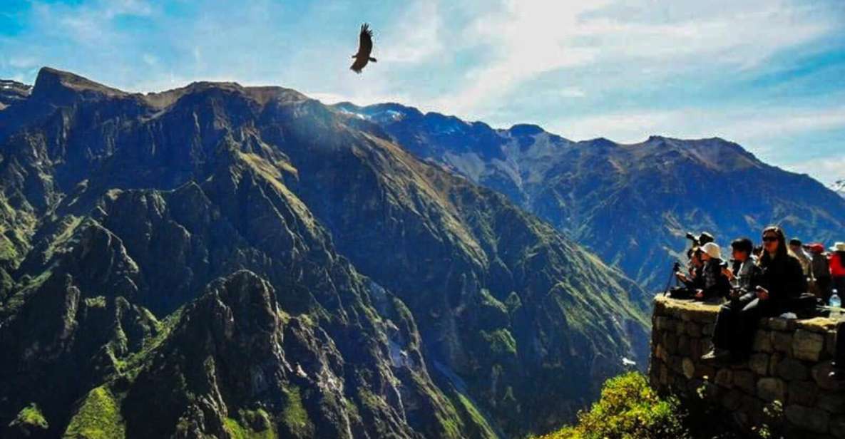 || Day Trip to Chivay and Colca Canyon in Arequipa || - Included Services