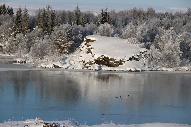 Day Trip to Lake Mývatn and the Nature Baths From Akureyri - Dimmuborgir Lava Formations