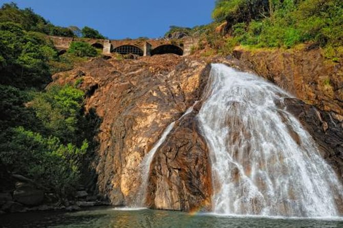 Day Trip to Mollem National Park Including Dudhsagar Falls and Jeep Safari From Goa - Jeep Safari Experience