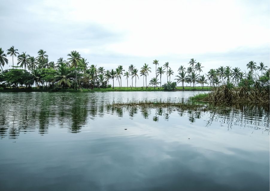 Day Trip to Varkala From Trivandrum (Guided Full Day Tour) - Experience and Local Culture