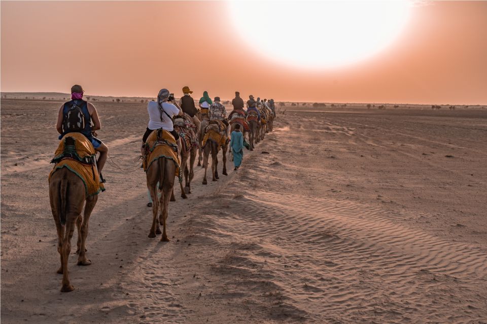 Dazzling Half Day Tour of Camel & Desert Safari With Sunset - Experience Highlights