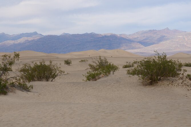 Death Valley Small Group Day Tour From Las Vegas - Travel Logistics