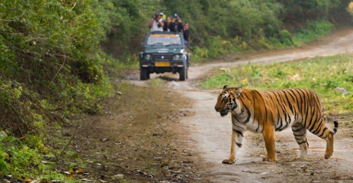 Delhi to Jim Corbett Transfer - Itinerary and Journey Details