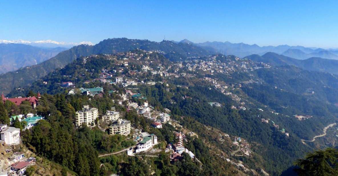 Delhi to Shimla Transfer - Professional Drivers