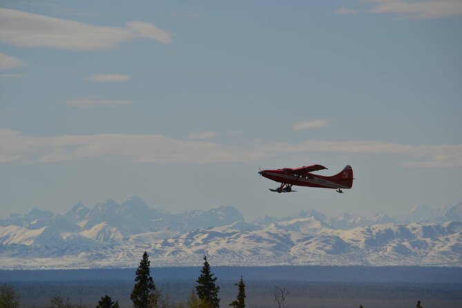 Denali Grand Flightseeing Tour From Talkeetna - Meeting and Check-In Details