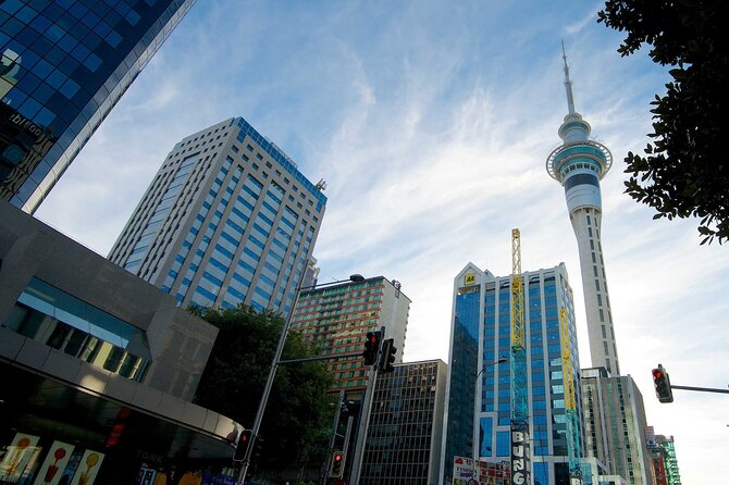 Departure Private Transfer From Auckland to Auckland Airport AKL in Business Car - Amenities Provided