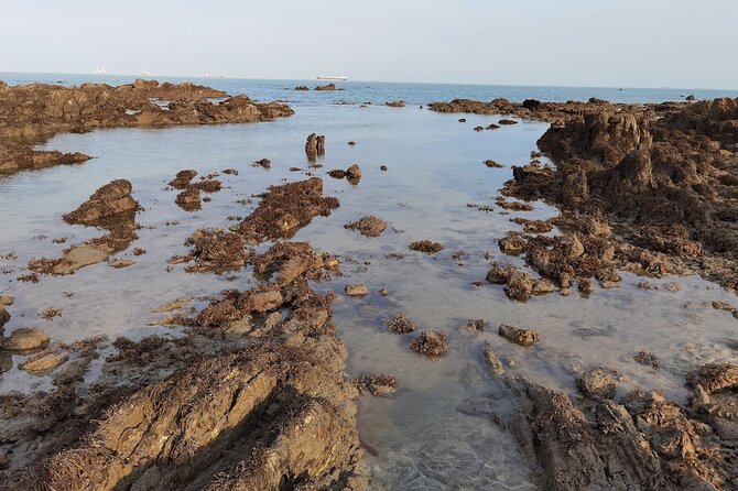 Desaru Beachlife & Tidepool Discovery - Tips for a Great Experience