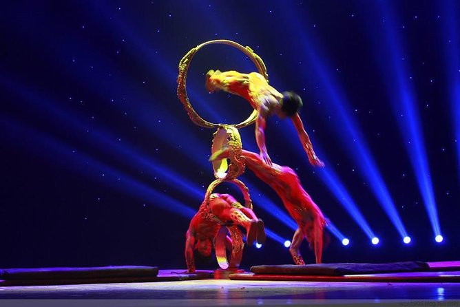 Din Tai Fung Dinner Experience and Acrobatics Show in Shanghai - Important Tour Information