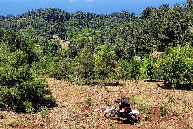 Dirt-Bike Tour in Madeira - Types of Dirt Bikes