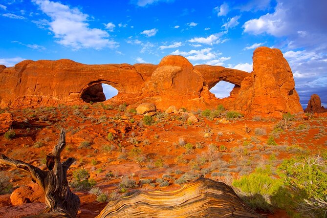 Discover Best Of Moab In A Day: Arches, Canyonlands, Dead Horse - Health and Safety Guidelines