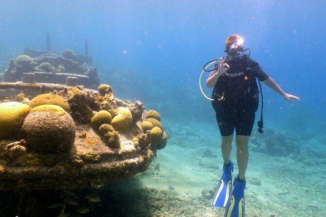 Discover Diving in Curaçao With Transportation Included - Health and Accessibility Options