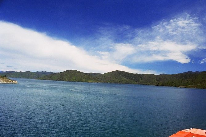 Discover Picton: Self-Guided Audio Tour - How to Get Started
