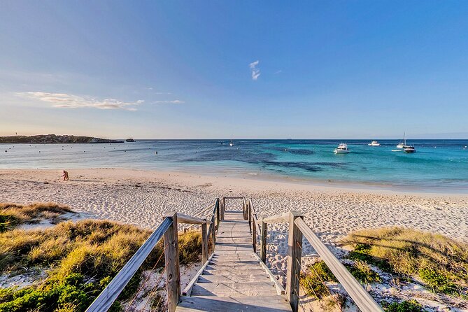 Discover Rottnest With Ferry & Bus Tour - Accessibility Information