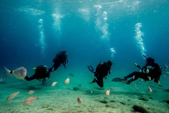 Discover Scuba Diving - Accessibility and Age Restrictions