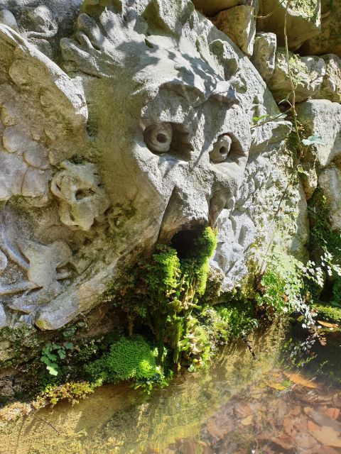 DISCOVERING AN ENGLISH GARDEN OVERLOOKING FLORENCE - Activities to Enjoy