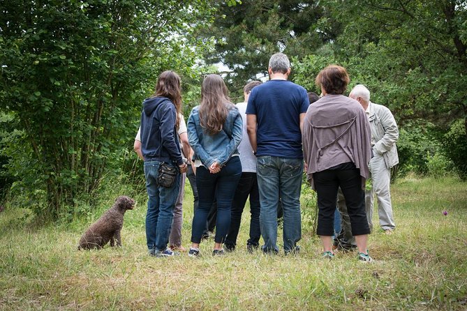 Discovery of the World of Truffles and Tasting - Confirmation and Accessibility Information