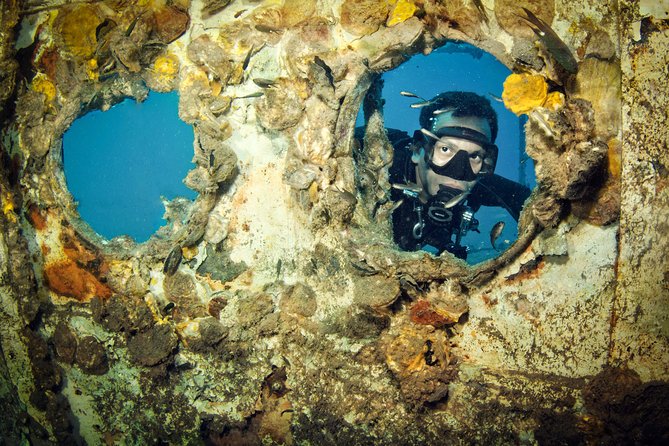 Diving at Koh Chang, Daytrip With 2 Dives - Additional Dive Options