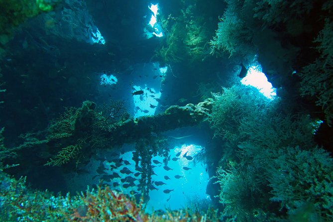 Diving in Tulamben - High Altitude Activity